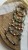 IMG_0344.jpeg